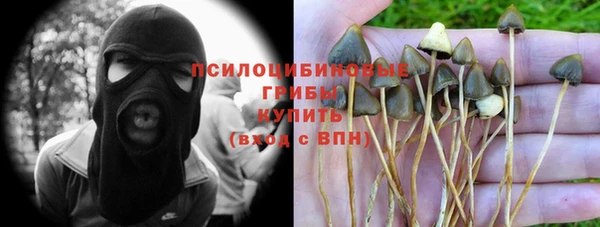 хмурый Нефтекумск