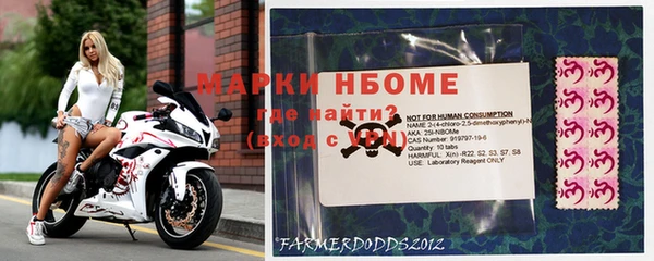 хмурый Нефтекумск