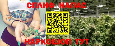 трава Лесосибирск