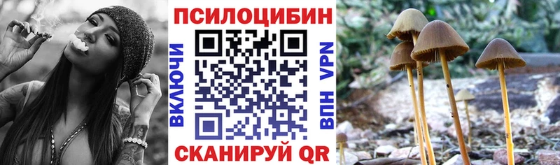 Галлюциногенные грибы Magic Shrooms  OMG ONION  Фурманов 
